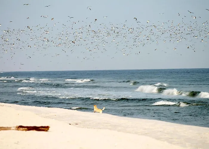 Sonnenhuegel App. 08 * Grömitz