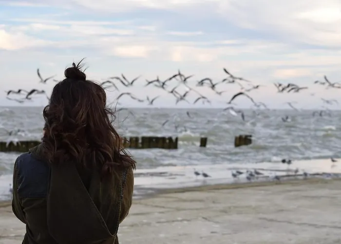 Lägenhet Sonnenhuegel App. 08 *